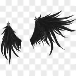 翅膀图案素材png金色炫酷游戏翅膀pngai12345678.50下一页