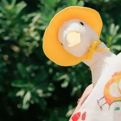 求一个鹅的头像黄底的找到啦