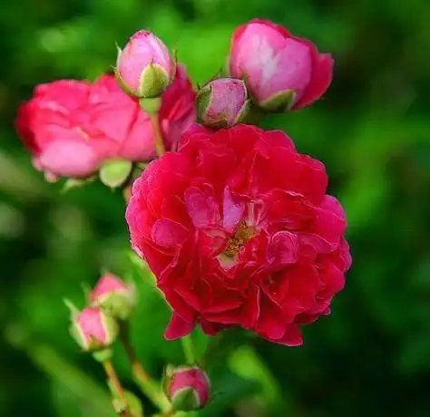 庇佑,整体运势回升,渡过6月劫难,财宝和喜事总是被他们撞见,接住好运