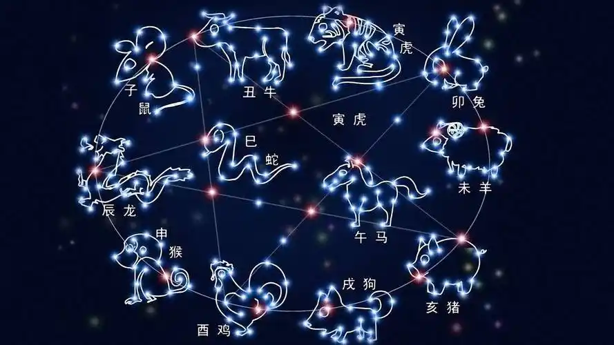 低价快手刷粉网站推广