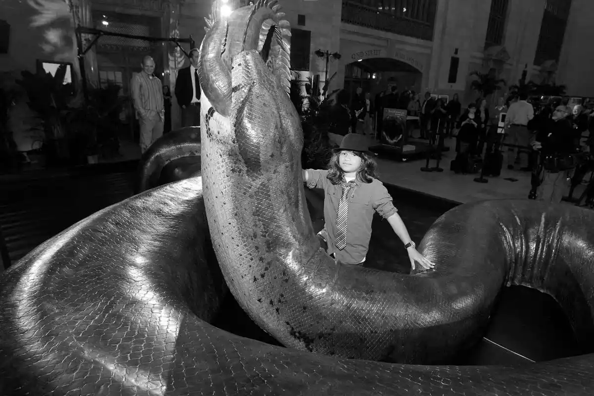 "亚马逊巨蟒"真的存在吗?它究竟有多大?