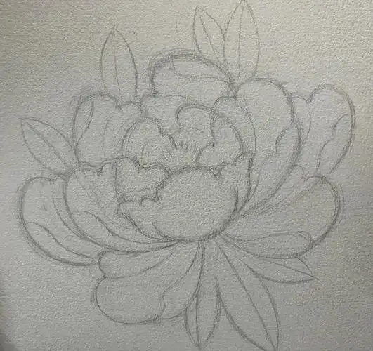 传统牡丹水彩画法教程