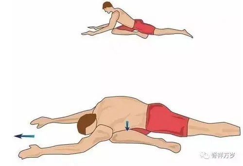 臀肌挛缩的危害_肌肉