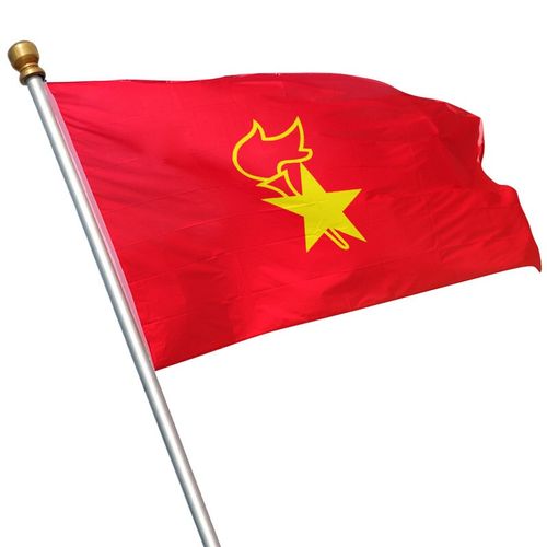 队旗少先队定制春亚4号3号2号大号旗帜小队旗帜