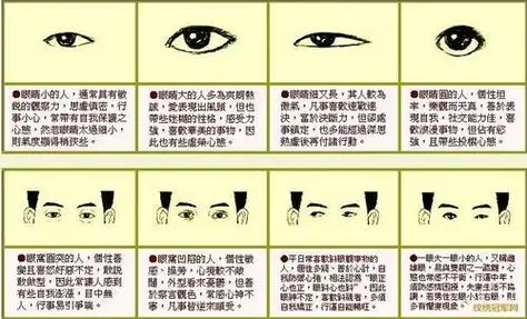 男人鼻子看相图解(男人鼻子形状看面相)相面大全风水,面相眉毛面相