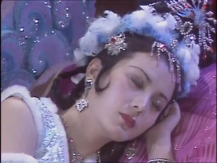 郑益萍/玉面狐狸#西游记