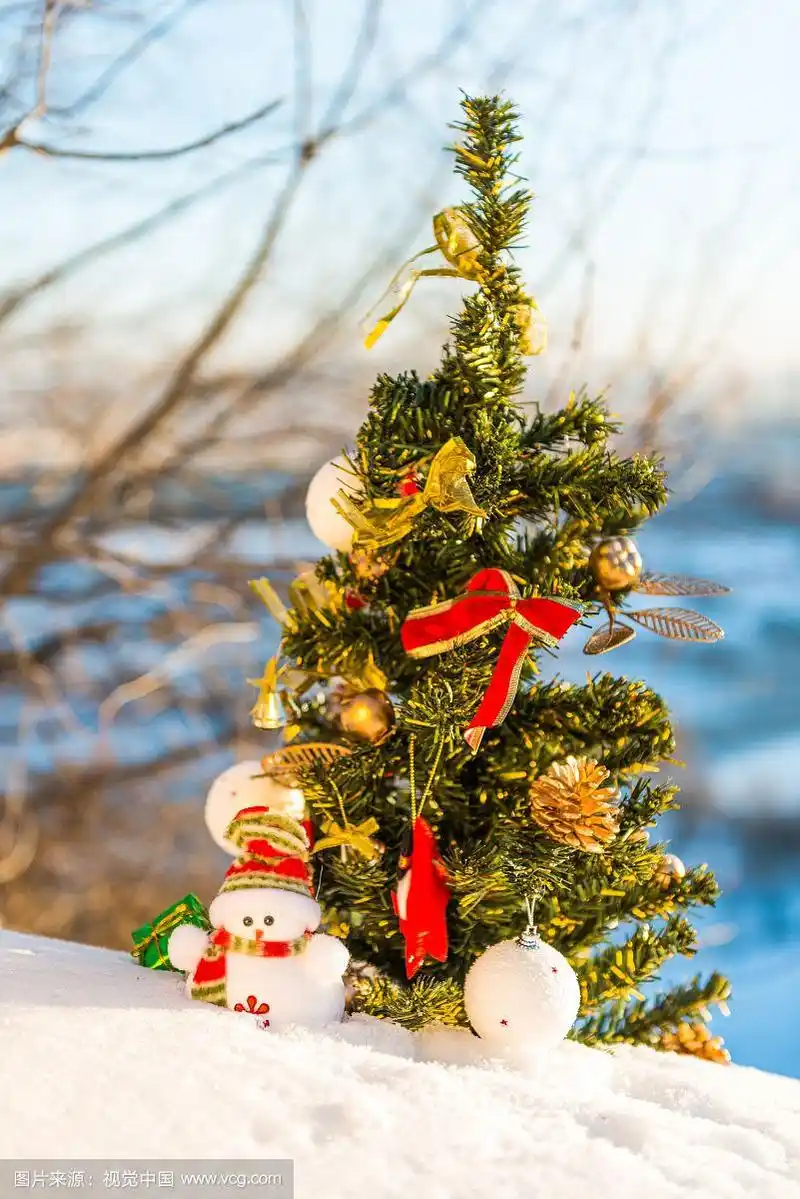 雪地里的圣诞树