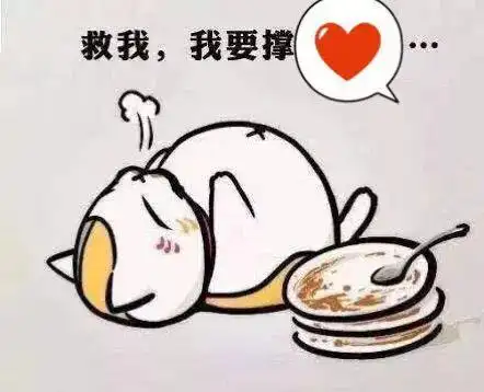 雨水赶上春节假期, 难得一见的家人朋友欢聚一堂, 天天都有饭局,吃的