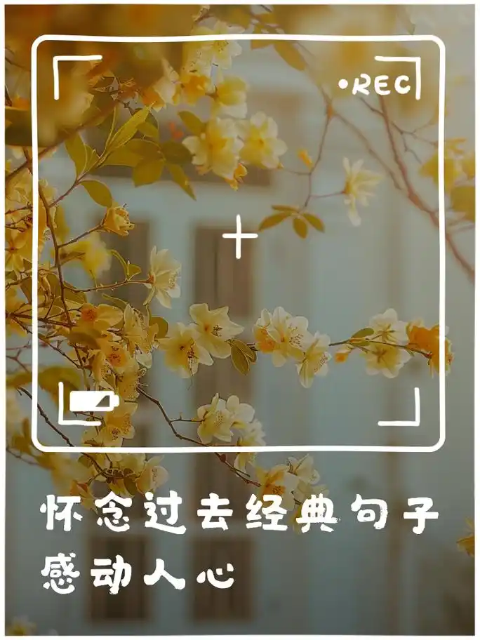 怀念过去经典句子,感动人心