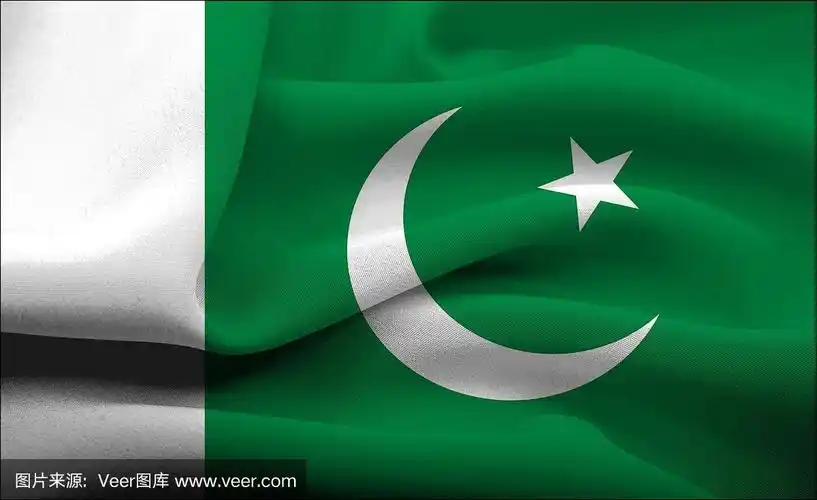 巴基斯坦的国旗