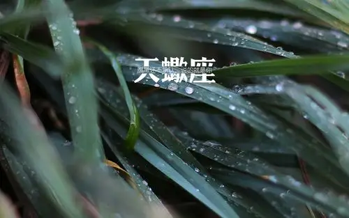 天蝎座壁纸图片