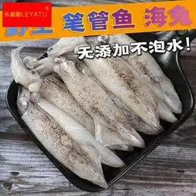 青岛海捕毕管鱼新鲜管鱼笔管蛸海兔籽乌小乌贼鱿鱼海鲜速冻发货