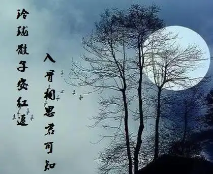 明月千里寄相思,何时相逢谁人知