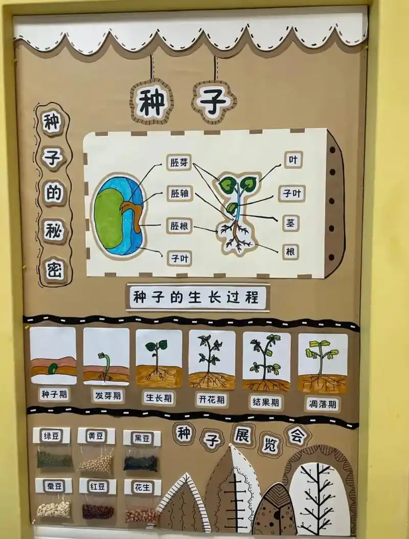 幼儿园主题墙 #幼儿园环创 #种子 幼儿园"种子"主题墙环 - 抖音