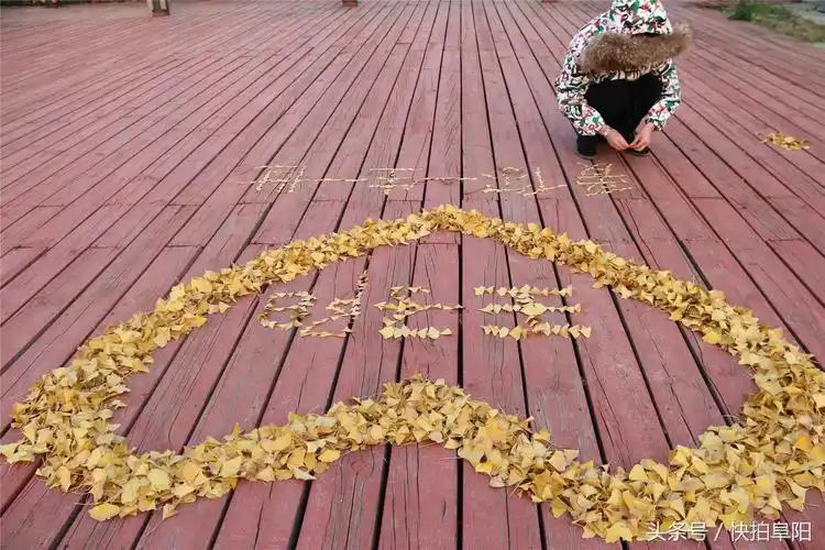 女孩用3小时摆出金色"爱心" 只为寻找心中恋人