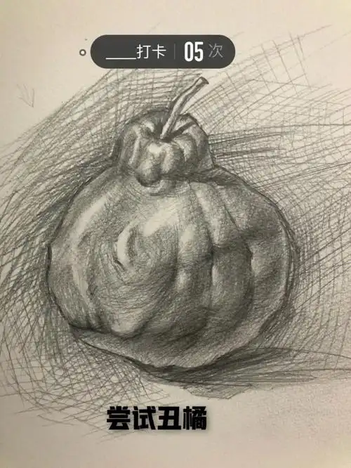 尝试素描丑橘