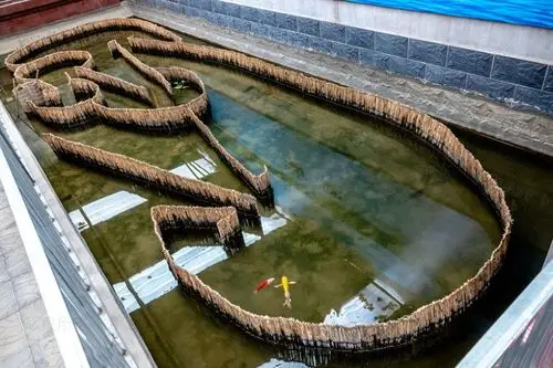 白洋淀迷魂阵捕鱼不下鱼食不用诱饵不用撒网不用打捞