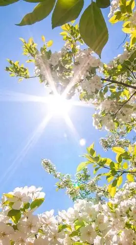 美图欣赏,让你心情愉快!