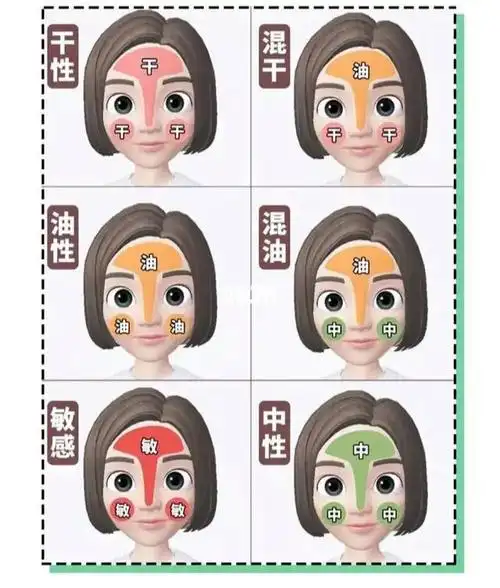 皮肤的五大分类快来看看你属于哪种