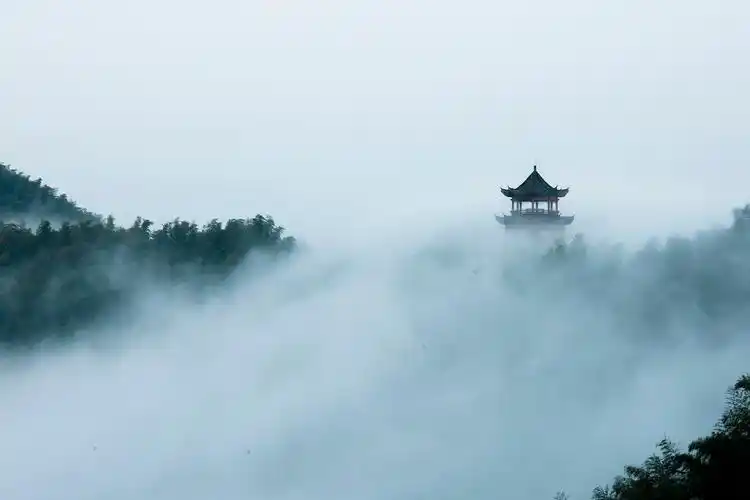 竹林仙境 - 自然类-摄影大赛2016 - 国家地理中文网