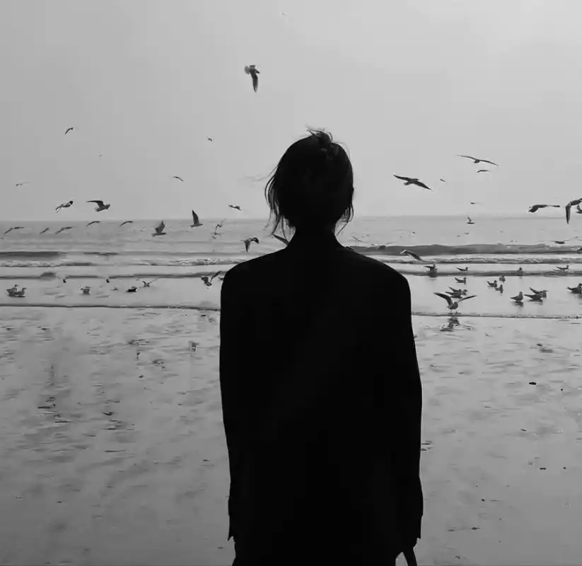 孤零零#孤独感拉满的头像#女生头像#背影头像#黑白系·1月前安静头像