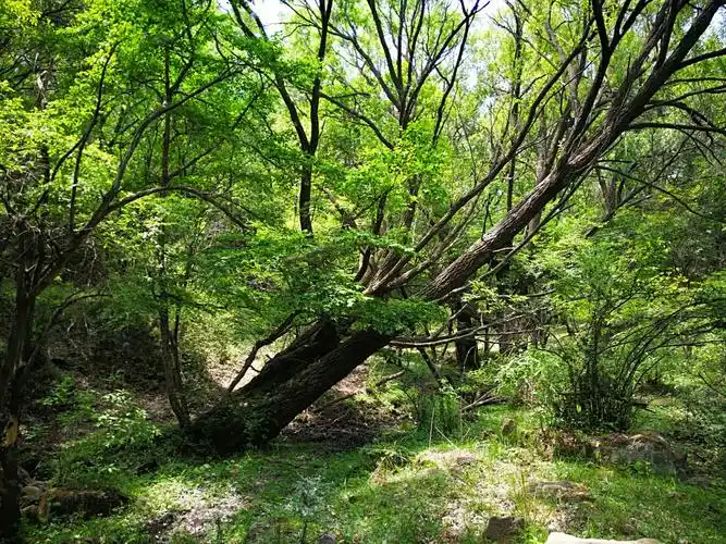 徒步檀树坪集锦