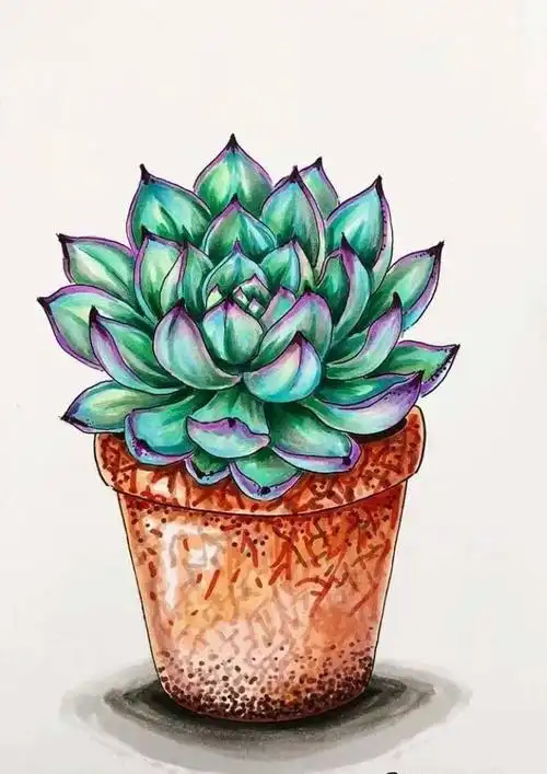 简笔画6767一组马克笔小盆栽