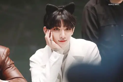 洪知秀 - 堆糖,美图壁纸兴趣社区