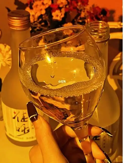 拜托,一个人在家微醺超酷的诶