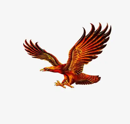 展翅雄鹰免抠素材免费下载_觅元素51yuansu.com
