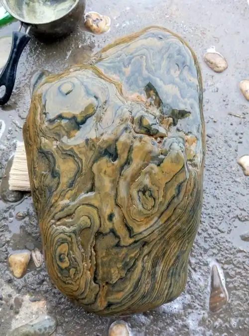 中国奇石沅水水冲石拍卖群