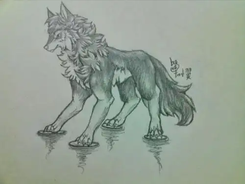 狼的简笔画素描