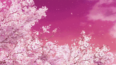 扩散遇见樱花摄影大赛开启奖金丰厚快来参加吧