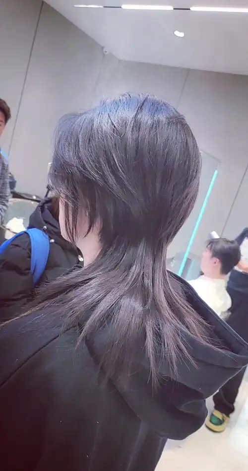 鲻鱼头狼尾发型