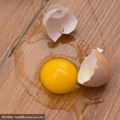 碎鸡蛋掉在地上