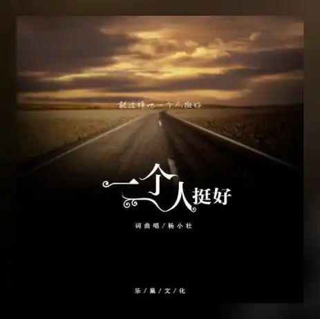 伤感故事 杨小壮《一个人挺好》百度云资源 超品质mp3下载 - 抖音歌曲