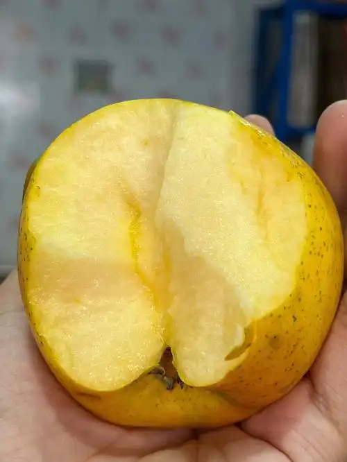 很难遇到这种有香味的苹果了