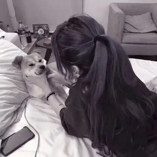 甜好糖好甜ˇ真人女头/仙气/霸气/可爱/玩网女头/优质女.