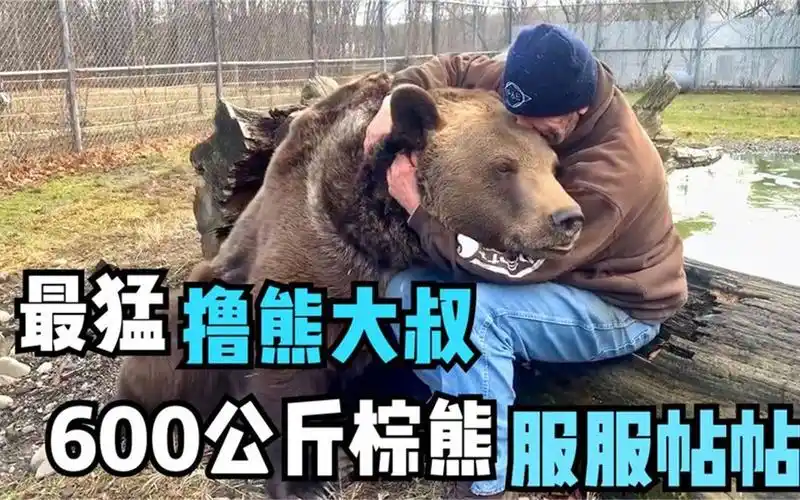 史上最猛撸熊大叔, 600公斤棕熊,也能收拾的服服贴贴!