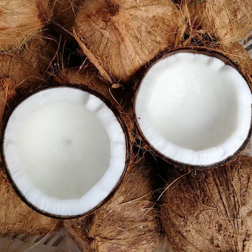 西沛生鲜海南小毛椰子热带老椰子6个装整箱热带特产西沛