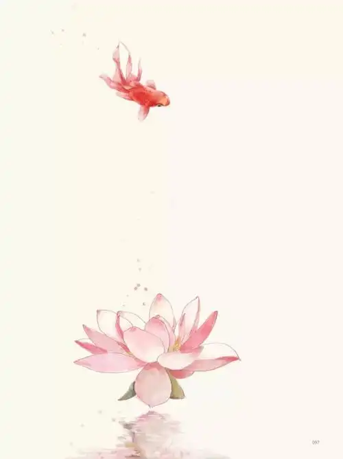 素雅- 堆糖,美图壁纸兴趣社区