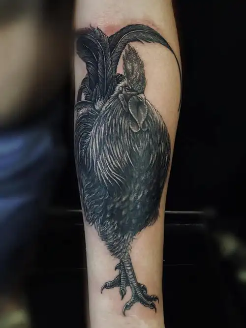 雄鸡_纹身图案手稿图片_娜娜的纹身作品集