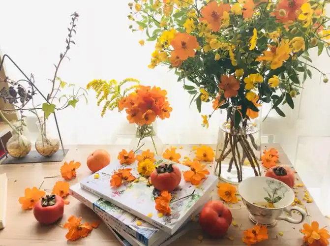 老了以后,有个小院养养花,过悠闲惬意的生活!