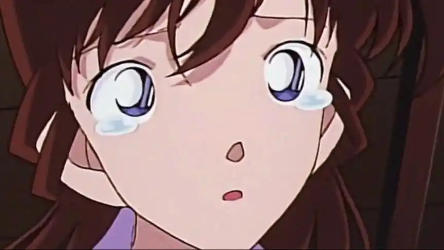 小兰老婆大人为啥哭了