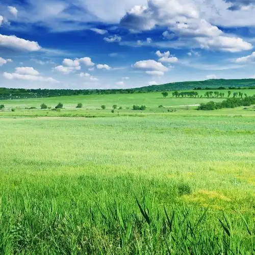 社会的底线在哪里