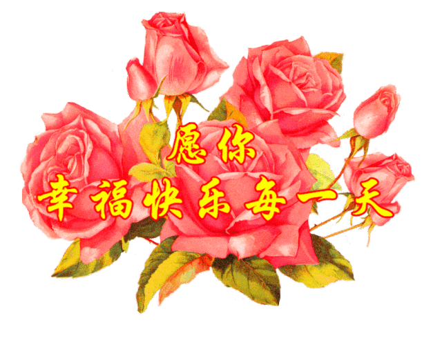 640_493gif 动态图 动图