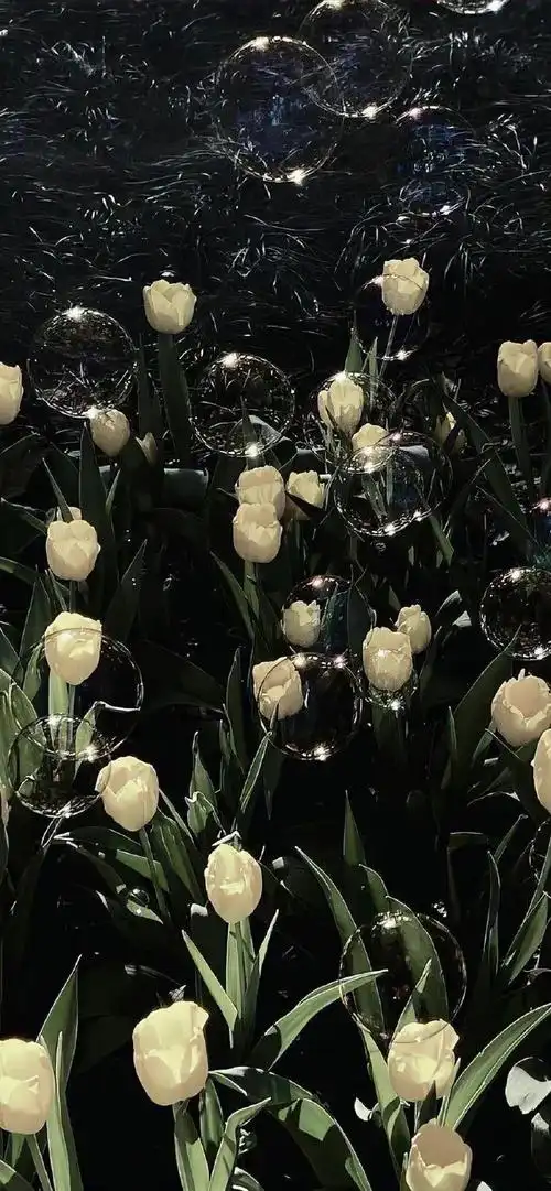 壁纸|很值得称赞的小众锁屏壁纸_新浪新闻