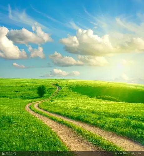 蓝天白云下的草原和小路高清图片