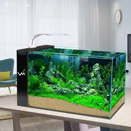 鱼缸水族箱客厅中小型免换水桌面创意造景生态超白玻璃家用金鱼缸