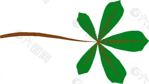 掌状浅裂的剪辑艺术